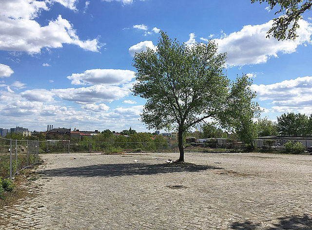 Fürstenbrunner Weg 22-32, 14059 Berlin