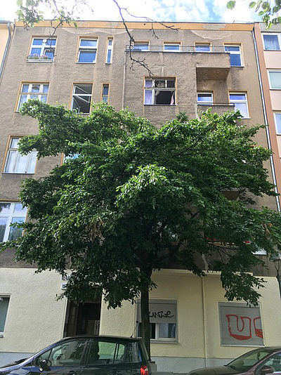 Eulerstr. 15, 13357 Berlin