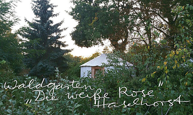Permakultur- und Waldgarten “die weiße Rose” in Haselhorst (Berlin-Spandau)